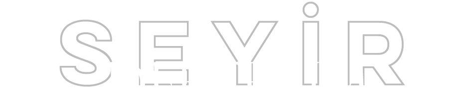 light logo